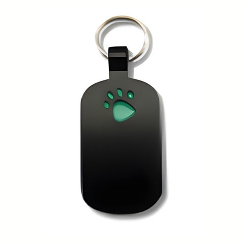 Black with Green Paw Print Pet Tag